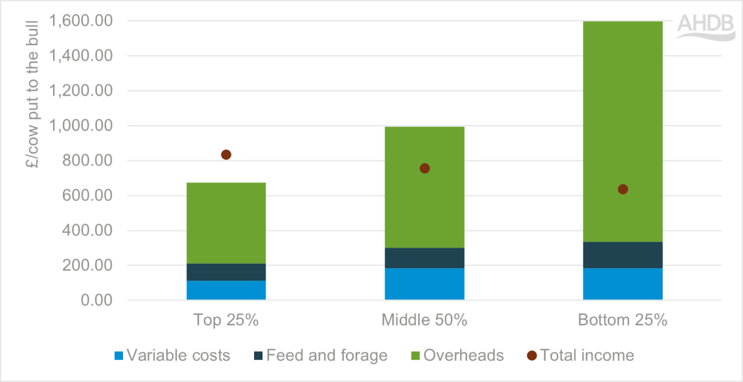 Chart showing cost of production and income across top middle bottom performing suckler herds